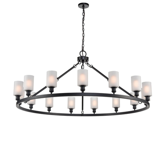 20 Light Chandelier