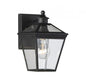 Ellijay 1-Light Outdoor Wall Lantern in Black