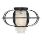 Idlewild 1-Light Ceiling Light in Matte Black