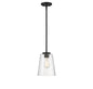 Calhoun 1-Light Pendant in Matte Black