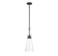 Lakewood 1-Light Pendant in Matte Black