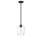 Octave 1-Light Pendant in Black