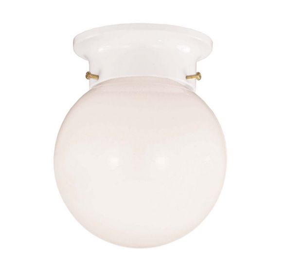 1-Light Ceiling Light in White