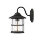 1-Light Outdoor Wall Lantern in Matte Black