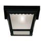 1-Light Outdoor Ceiling Light in Black